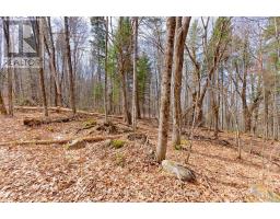 Lot 1 Foymount Road, Bonnechere Valley, ON K0J1W0 Photo 6