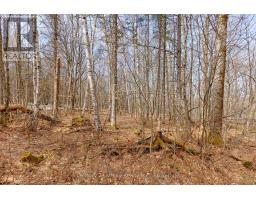 Lot 1 Foymount Road, Bonnechere Valley, ON K0J1W0 Photo 7