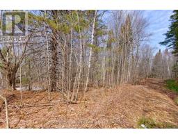 Lot 1 Foymount Road, Bonnechere Valley, ON K0J1W0 Photo 8