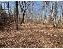 Lot 1 Foymount Road, Bonnechere Valley, ON K0J1W0 Photo 9