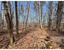 Lot 2 Foymount Road, Bonnechere Valley, ON K0J1W0 Photo 10