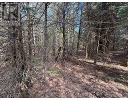 Lot 2 Foymount Road, Bonnechere Valley, ON K0J1W0 Photo 11