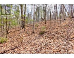 Lot 2 Foymount Road, Bonnechere Valley, ON K0J1W0 Photo 6