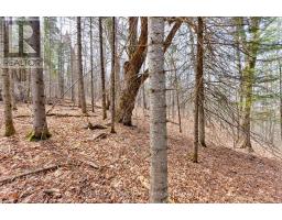 Lot 2 Foymount Road, Bonnechere Valley, ON K0J1W0 Photo 7