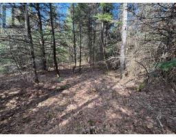 Lot 2 Foymount Road, Bonnechere Valley, ON K0J1W0 Photo 8