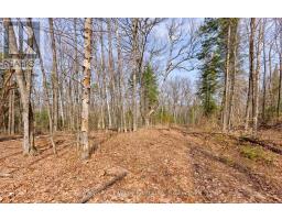 Lot 3 Foymount Road, Bonnechere Valley, ON K0J1W0 Photo 6
