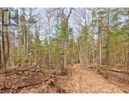 Lot 3 Foymount Road, Bonnechere Valley, ON K0J1W0 Photo 7