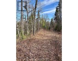Lot 3 Foymount Road, Bonnechere Valley, ON K0J1W0 Photo 8