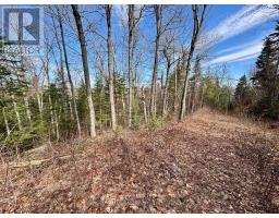 Lot 3 Foymount Road, Bonnechere Valley, ON K0J1W0 Photo 9