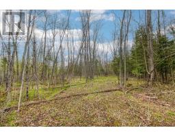 30 Lilly Crescent, Billings, ON P0P1J0 Photo 15