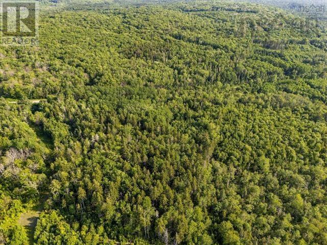 Property 14 of 26 of Lot Hectanooga Road