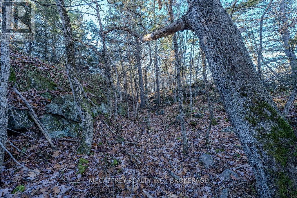 LOT 5 HINTERLAND LANE — photo 33