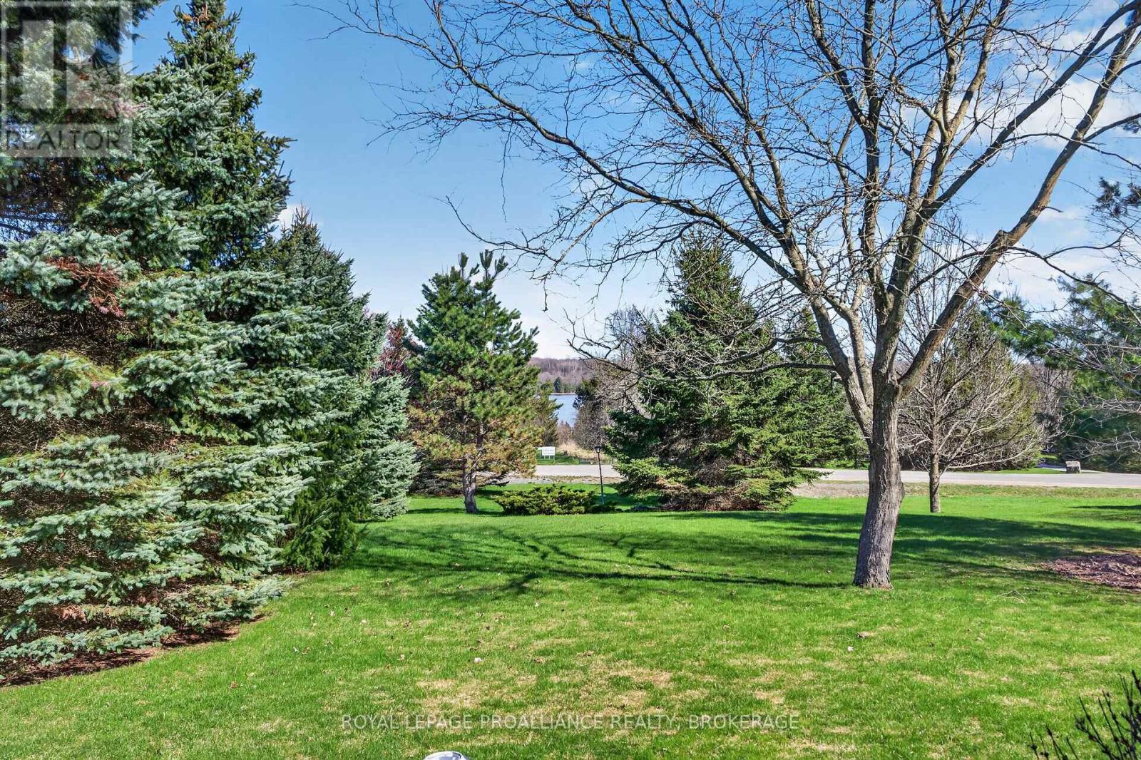 3920 MIDDLE WOODLAND DRIVE - photo 4