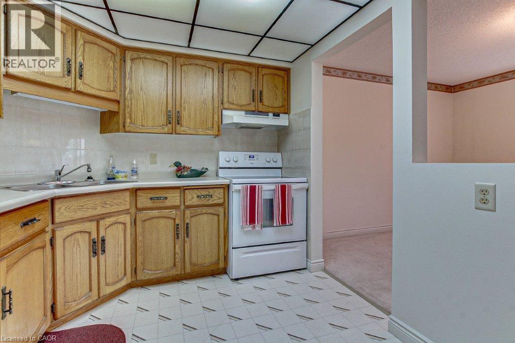 303 WILLIAM Street Unit# 206, Delhi, Ontario, N4B1N1 — Photo 3