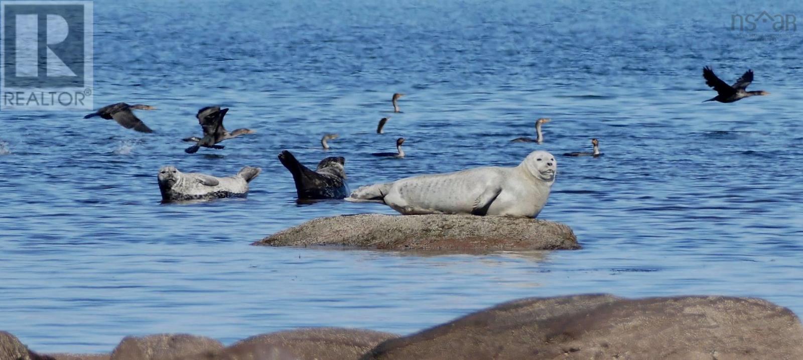 Property 31 of 35 of 24 Mitchell Island Loop
