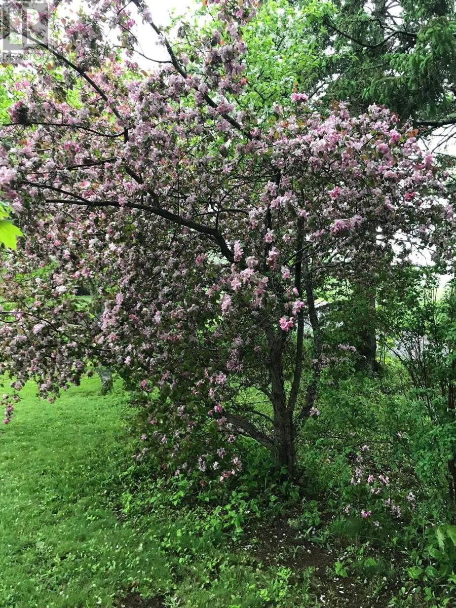 Property 27 of 41 of 1278 Crisp Road