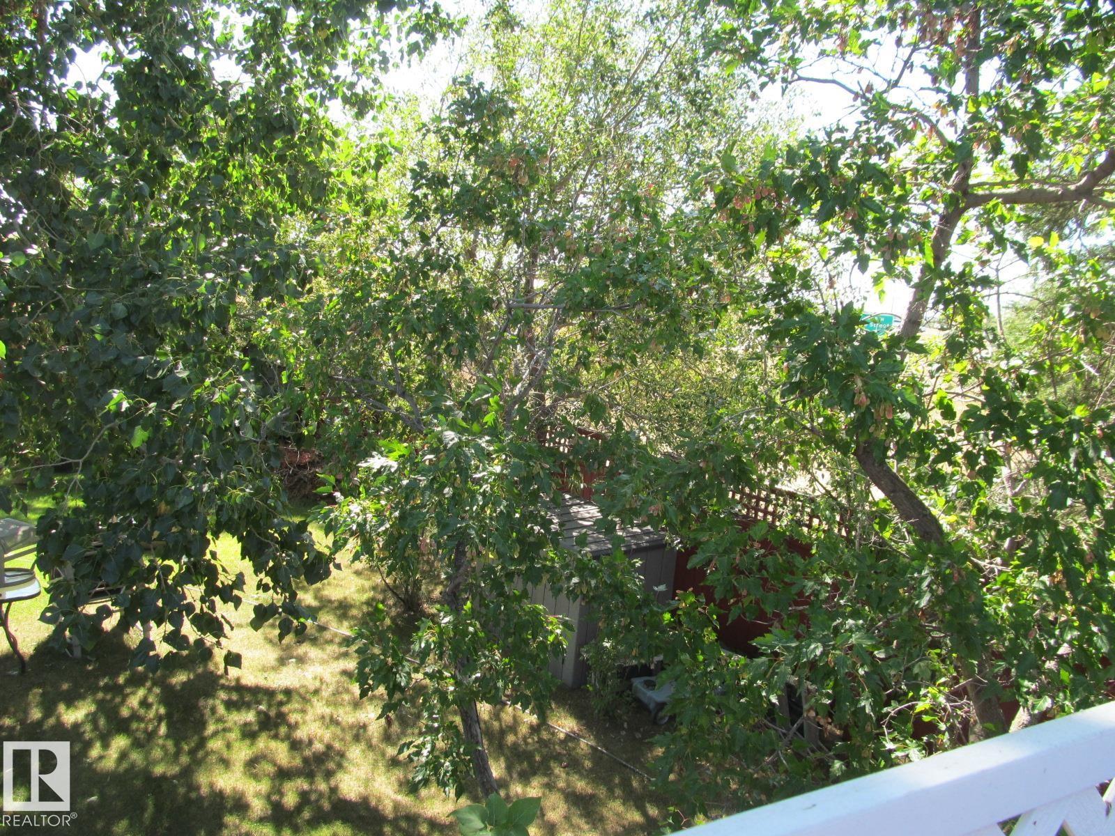 4823 10 AV NW - 43