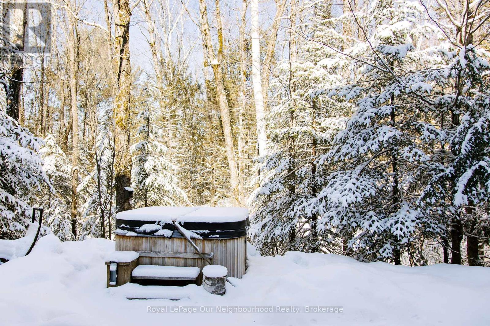 1042 SKI RIDGE TRAIL - 35