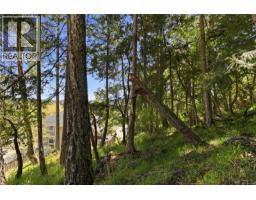 3533 Sunheights Dr, Langford, BC V9C4J8 Photo 53