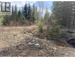 4583 Ridge Road, Williams Lake, BC V0L1G0 Photo 30