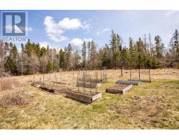 906 County Line Road, Hopefield, PE C0A1W0 Photo 32