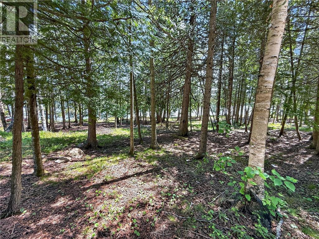 1278 Ice Lake Drive, Gore Bay, Manitoulin Island, Ontario, P0P1H0 — Photo 41