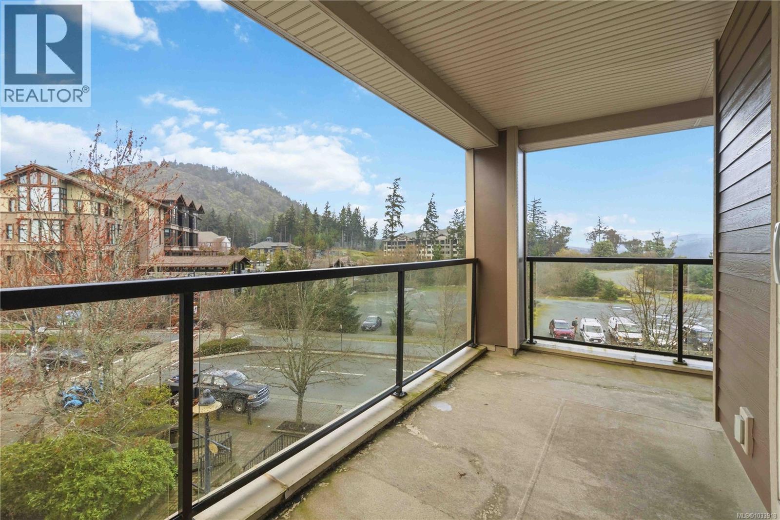 #311 1325 Bear Mountain Pkwy - 28