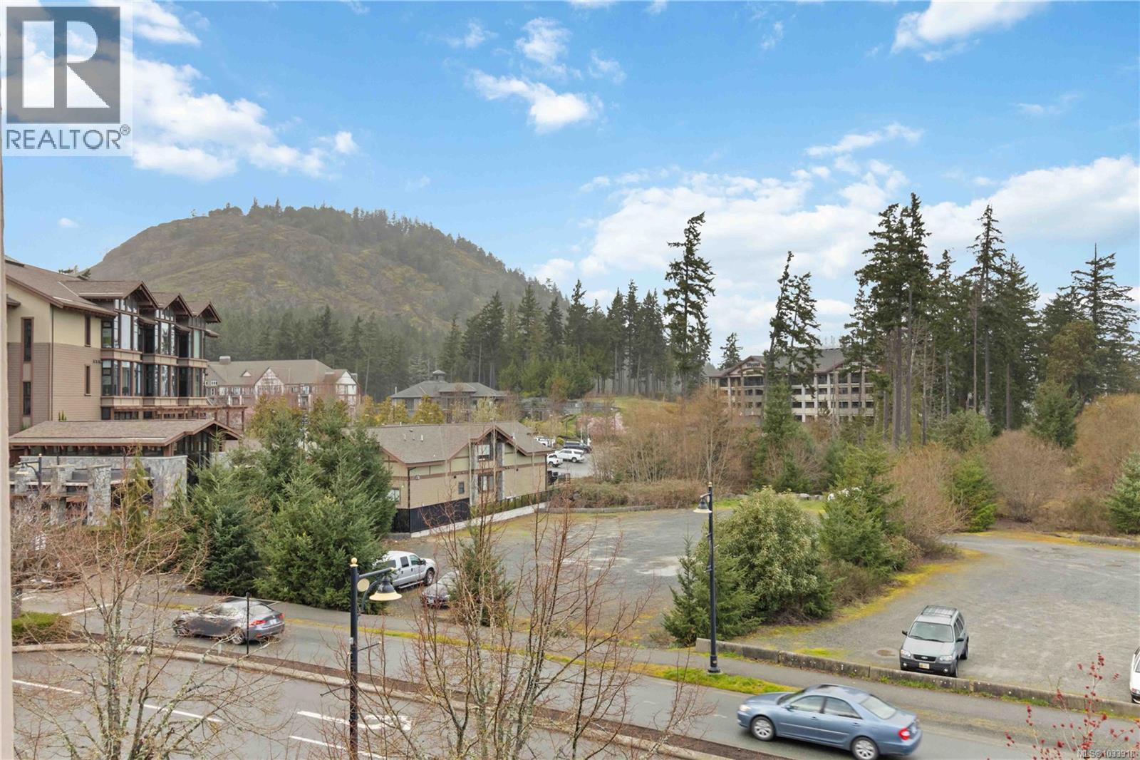#311 1325 Bear Mountain Pkwy - 33