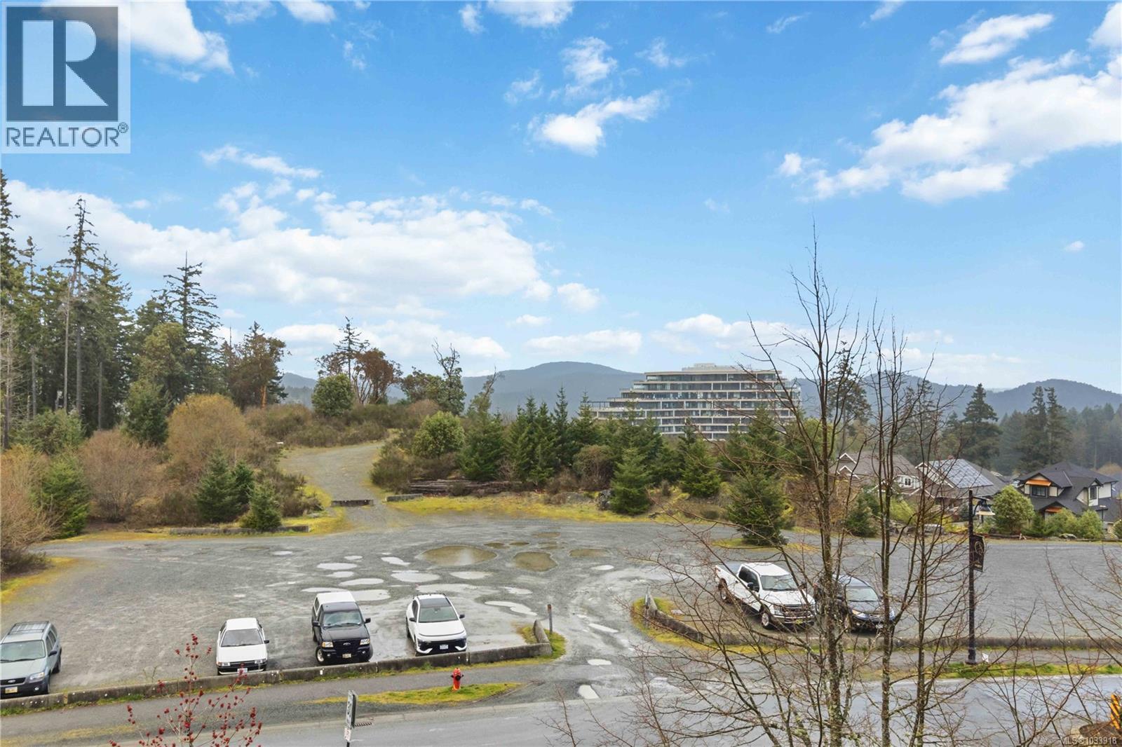 #311 1325 Bear Mountain Pkwy - 34