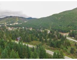 20478 Edelweiss Drive, Mission, BC V0M1A1 Photo 7
