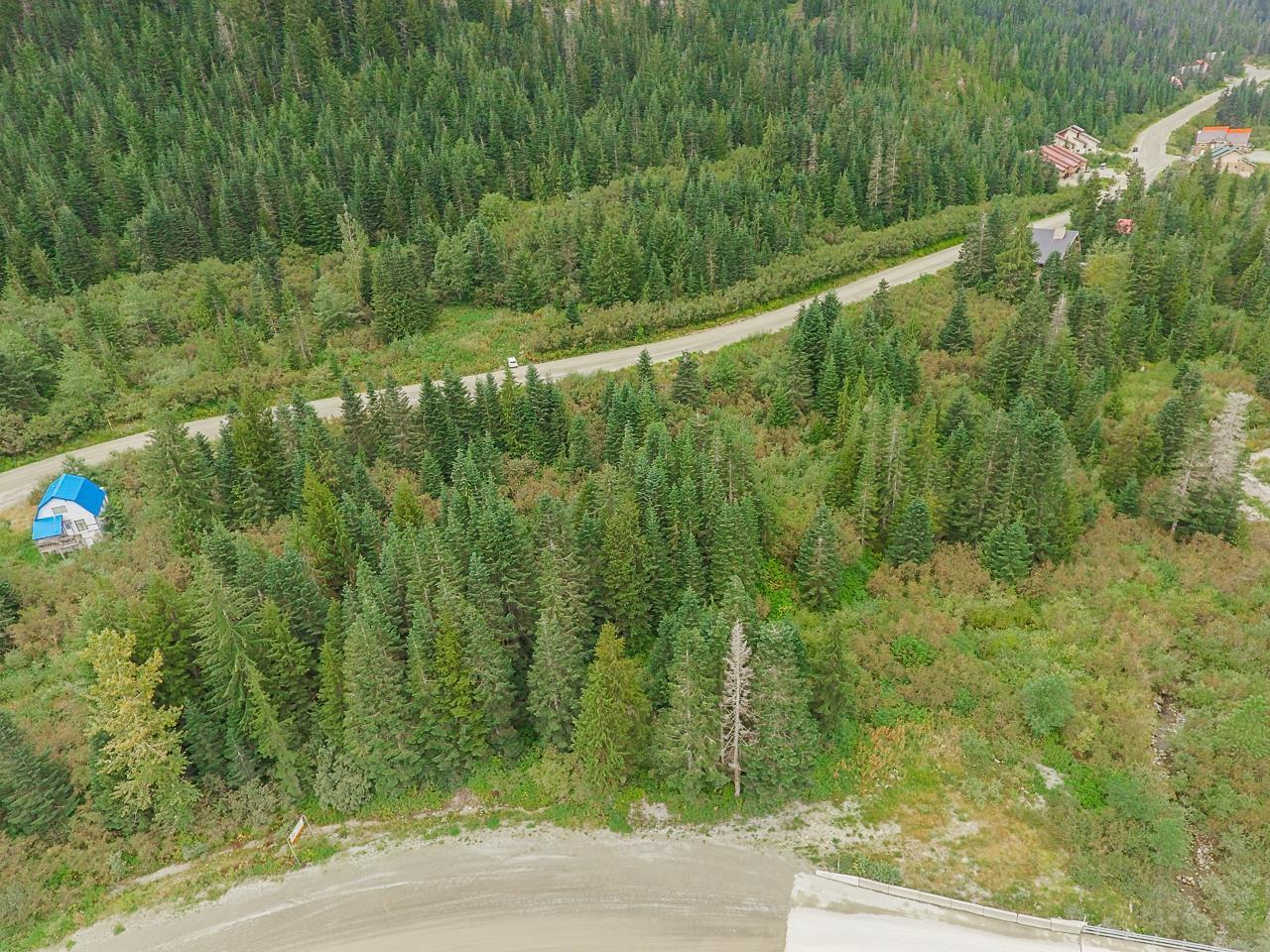 20478 EDELWEISS DRIVE — photo 13