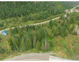 20478 Edelweiss Drive, Mission, BC V0M1A1 Photo 13