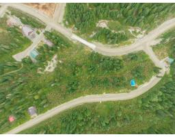 20478 Edelweiss Drive, Mission, BC V0M1A1 Photo 20