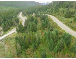 20478 Edelweiss Drive, Mission, BC V0M1A1 Photo 10