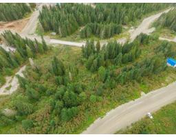 20478 Edelweiss Drive, Mission, BC V0M1A1 Photo 18