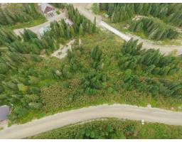 20478 Edelweiss Drive, Mission, BC V0M1A1 Photo 19
