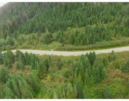 20478 Edelweiss Drive, Mission, BC V0M1A1 Photo 11