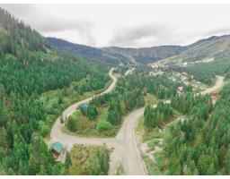 20478 Edelweiss Drive, Mission, BC V0M1A1 Photo 27