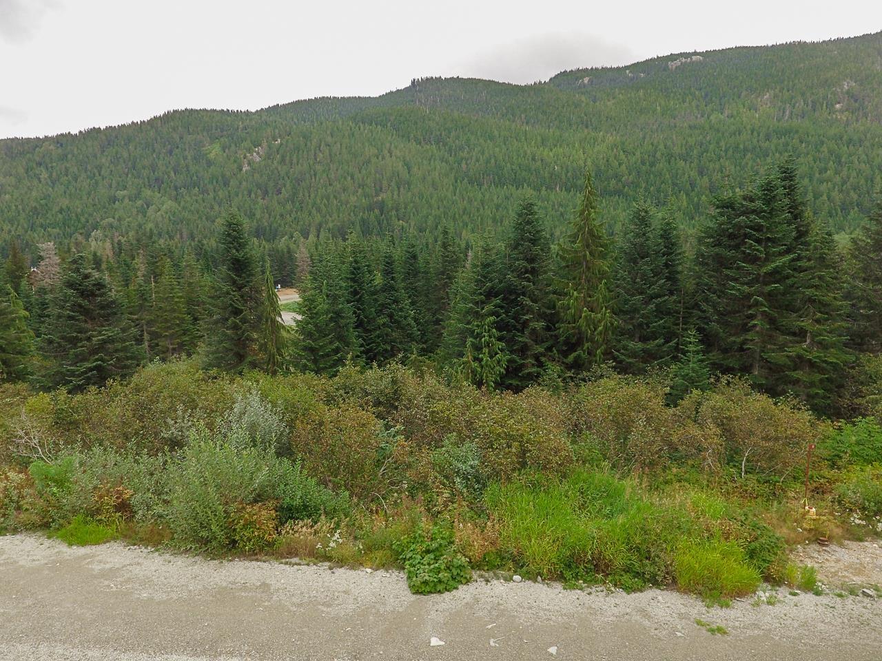 20478 EDELWEISS DRIVE - photo 2
