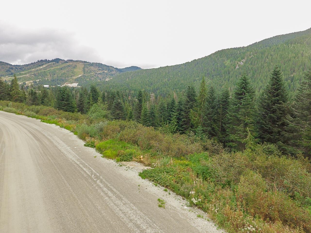 20478 EDELWEISS DRIVE - photo 3