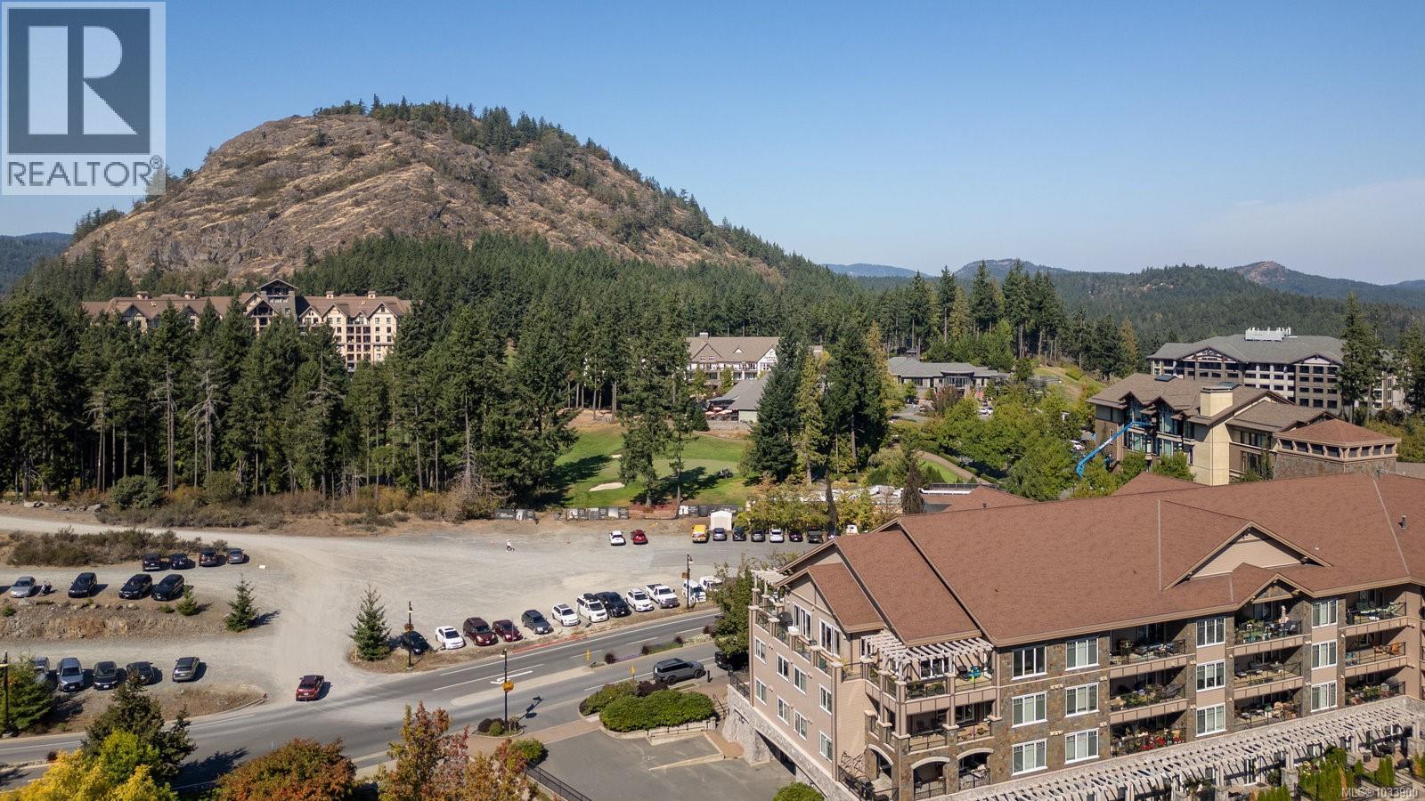 #416 1335 Bear Mountain Pkwy - 49