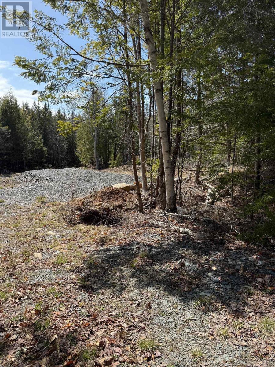 Property 3 of 3 of Lot 18 Dauphinee Road