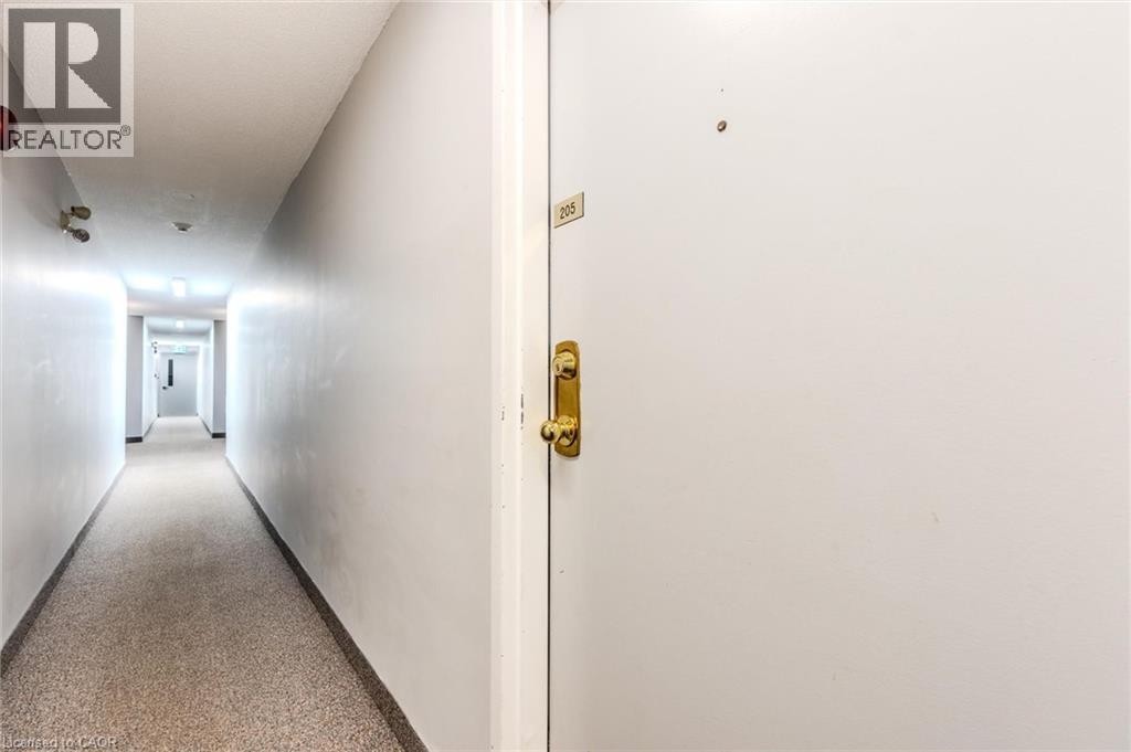 30 BRIDGE Street W Unit# 205, Kitchener, Ontario, N2K1K4 — Photo 3