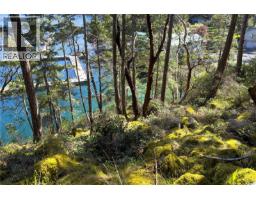 1410 Red Granite Rd, Cortes Island, BC V0P1K0 Photo 57