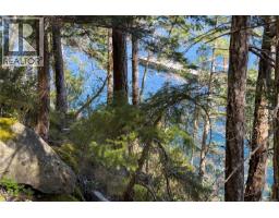 1410 Red Granite Rd, Cortes Island, BC V0P1K0 Photo 58