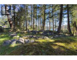 1410 Red Granite Rd, Cortes Island, BC V0P1K0 Photo 71