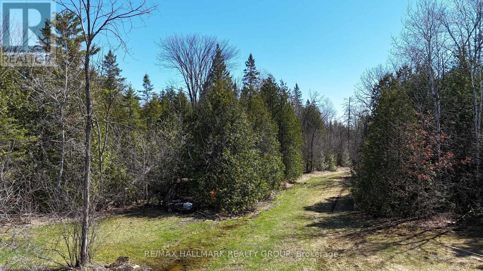 4318 STONECREST ROAD - 31