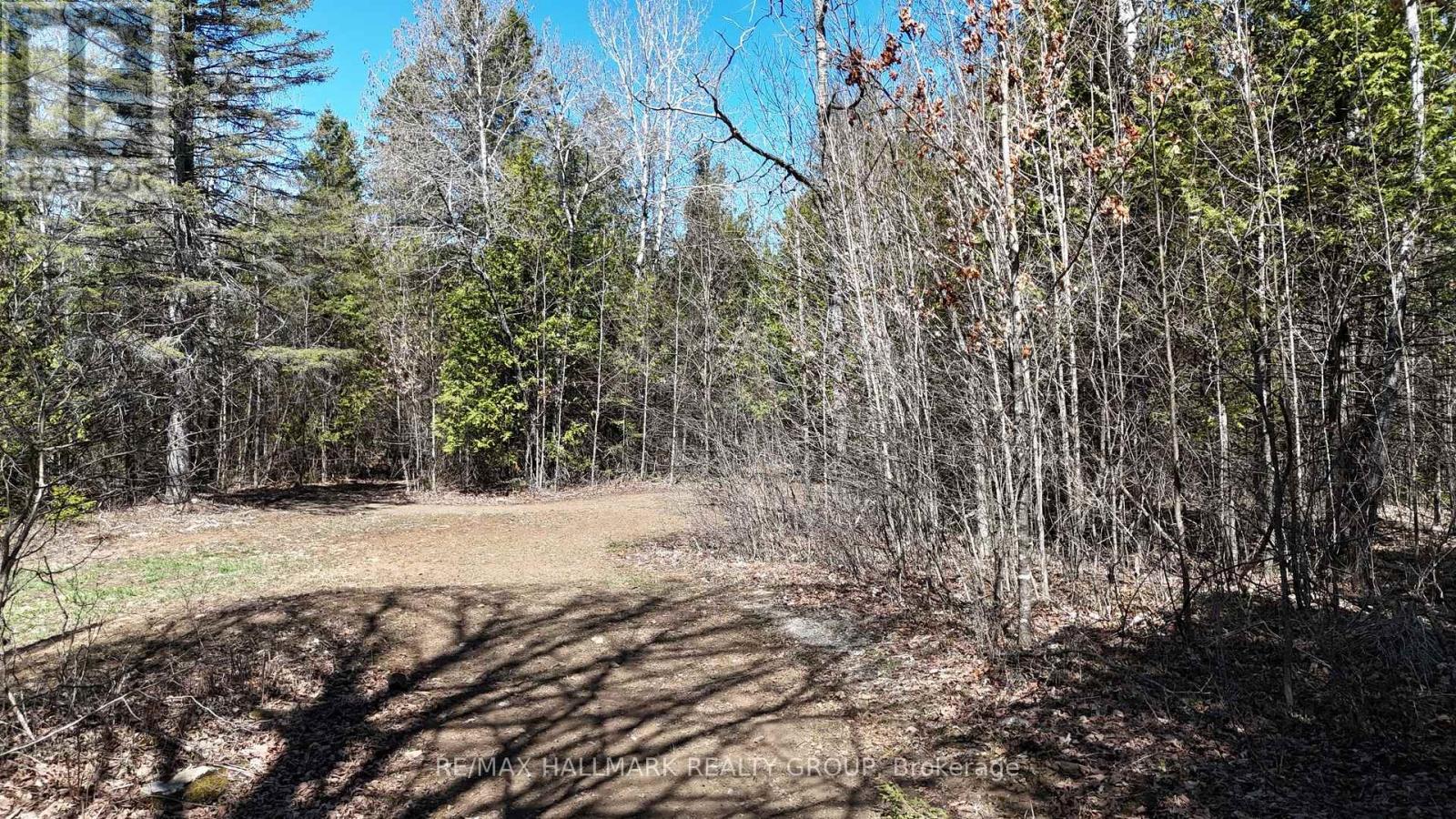 4318 STONECREST ROAD - 38