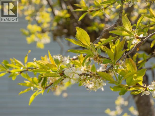 3271 OAK STREET - 53