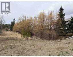 3642 Spokin Lake Road, 150 Mile House, BC V0K2G0 Photo 22